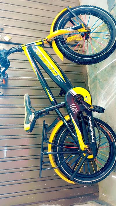phoenix  kids bicycle .  excellent condition