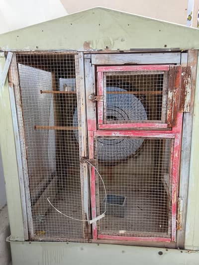 bird cage