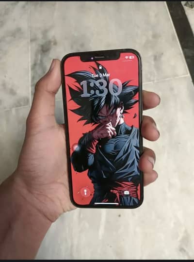 IPHONE 12 PRO/ WATERPACK