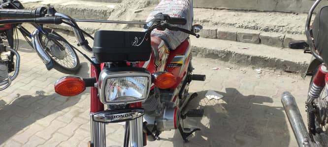 125. . lush condition