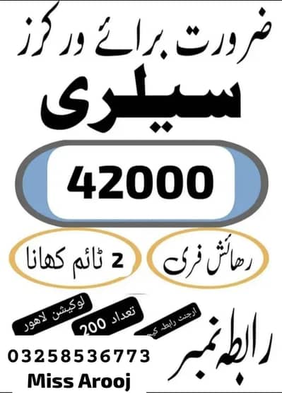 Need urgent staff chocolate packing factory in lahore