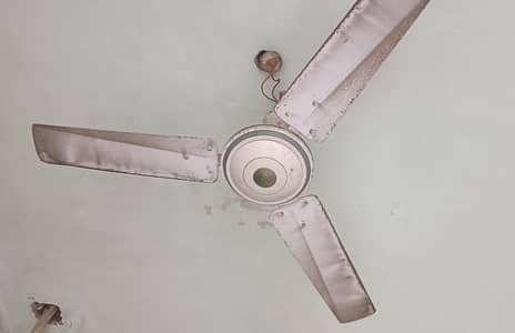 Ceiling Fan