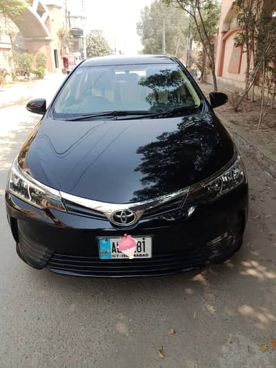 gli Auto 2018/19 B2B genuine O3OO6649O89