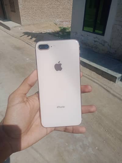 8 plus Golden color