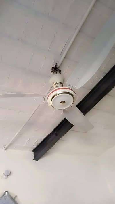 GFC celling fan