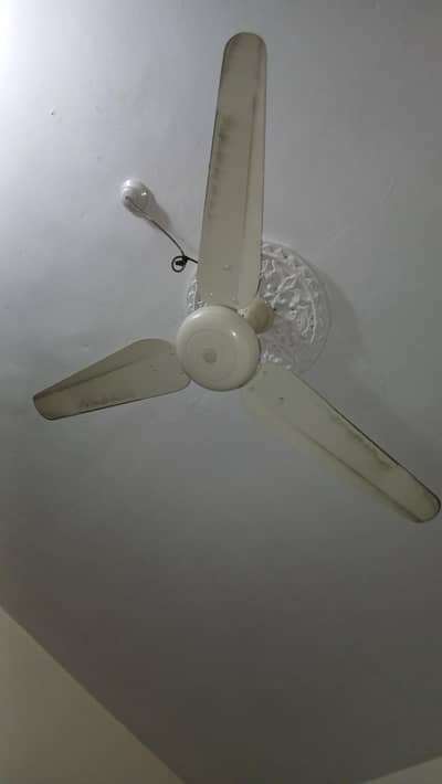 Sonex Ceiling Fan for sale