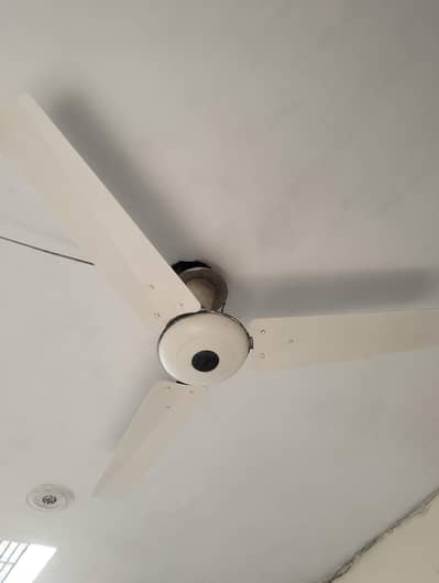celling fan