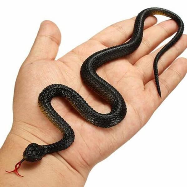 artificial Snak Wall Climbing Snake – Stretchy Sticky Toy for Kids