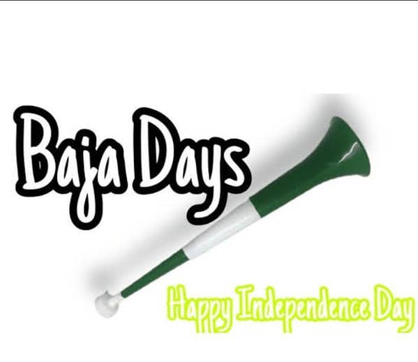 2 Pieces Baja for 14 August Independence Day – 1 Large Step Each (Per Piece, Each Color)