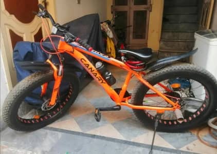 Canary Heavy Bicycle original