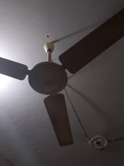 Ceilling Fan