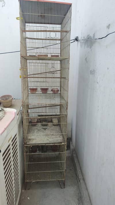 Birds Cage