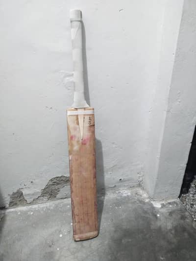 Hard ball cricket bat for sale