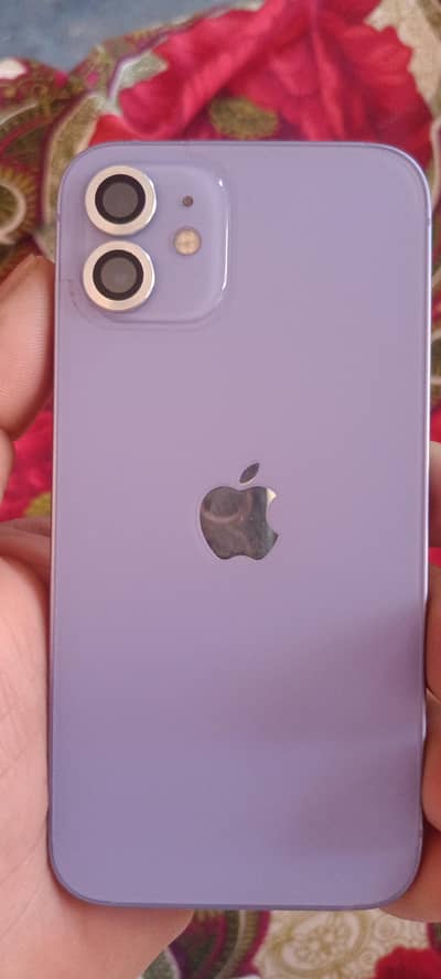 ion - PTA  - 83% Health - Lush Condition"