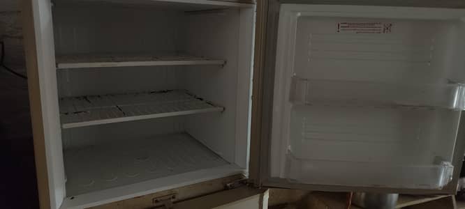 used frieg for sale l