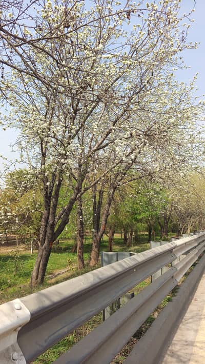 female Reception near 6th road