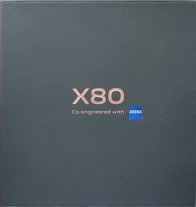 Vivo X80