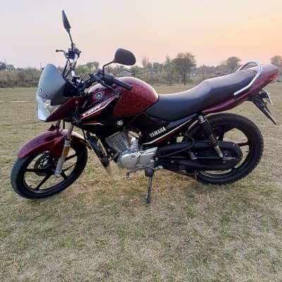 Yamaha | YBR 125 | Model 2022 |*03129491885*| 10/10