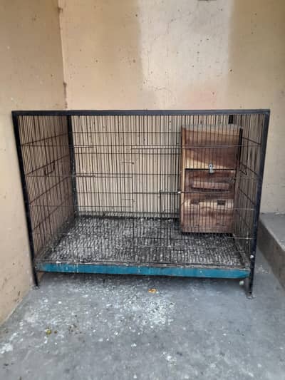 cages