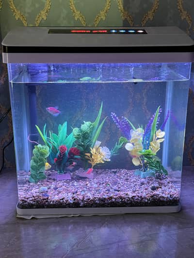 Fully Automatic Aquarium With Fishes