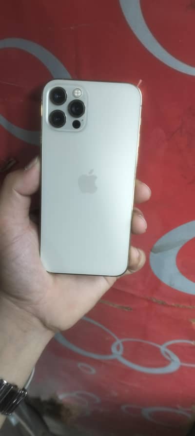 iPhone 12 pro non pta (jv)