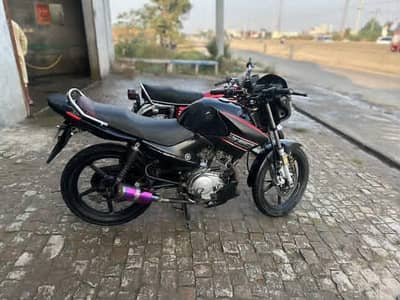 YAMAHA YBR 125