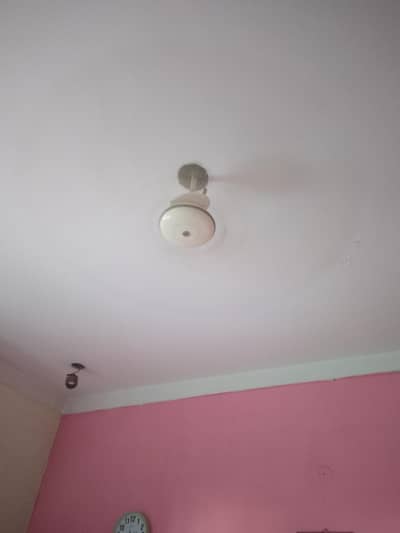celling fan