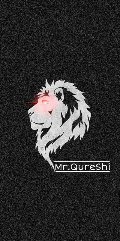 Muhammad Raheel 