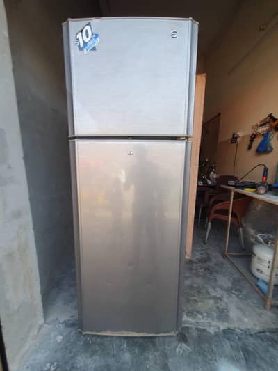 pel medium large size