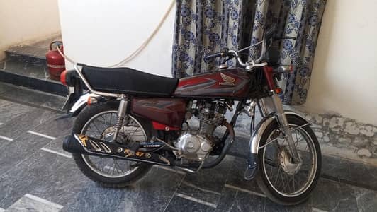 Golden Number + Nut To Nut Genuine