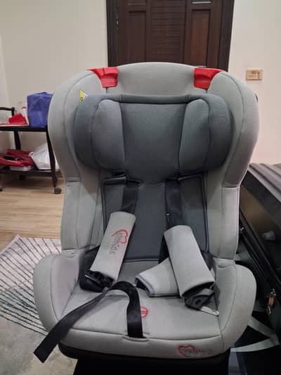 Tinnies Baby Car seat
