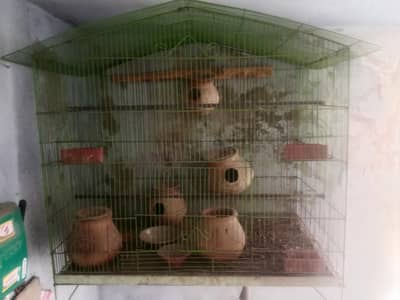 birds cages useing