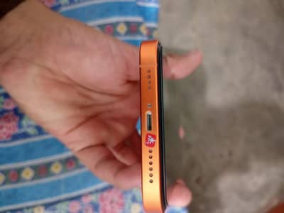 xr converd 17 pro max Battery health 100