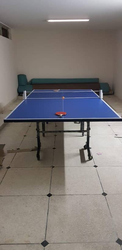 Table tennis table [premium] (good condition)
