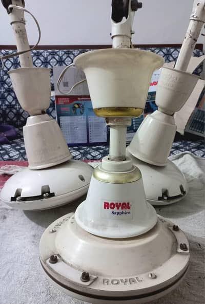 Royal Ceiling Fan
