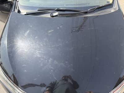 GardenAltis 15 model