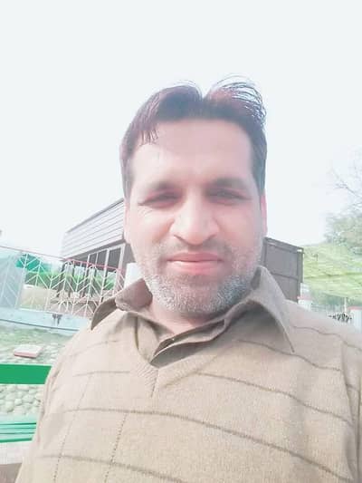 need job security survivor