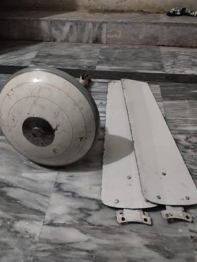 Celing fan 100% cooper