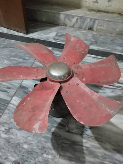 Air cooler motor with wings