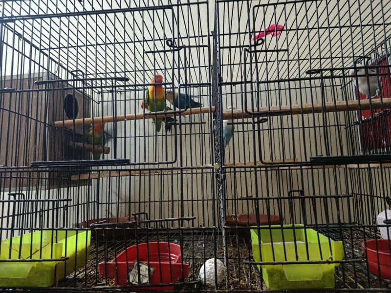 دو جوڑے بچوں کے ساتھ 0