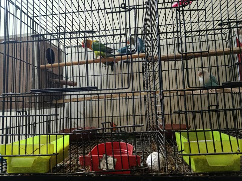 دو جوڑے بچوں کے ساتھ 1