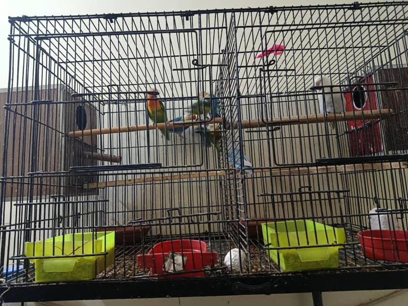 دو جوڑے بچوں کے ساتھ 2