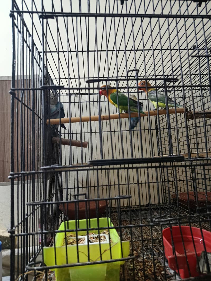 دو جوڑے بچوں کے ساتھ 4