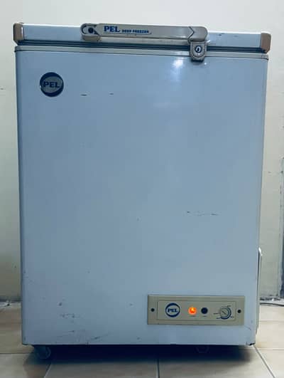Pel Deep Freezer Single Door for Sale