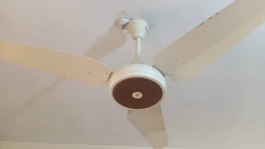Ceiling Fan best Condition /S. K Fans NORMAL AC FAN