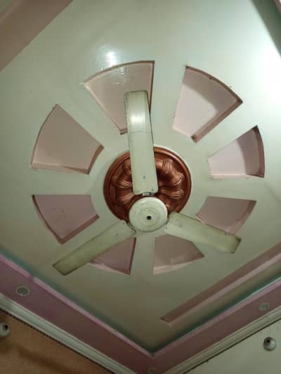Fan ceilings