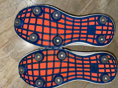 shoes / cricket spikes / spikes / shoes for sale