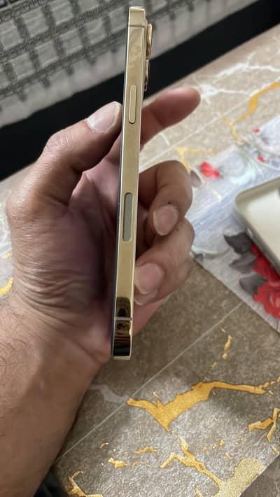 Apple iPhone 12 Pro Max