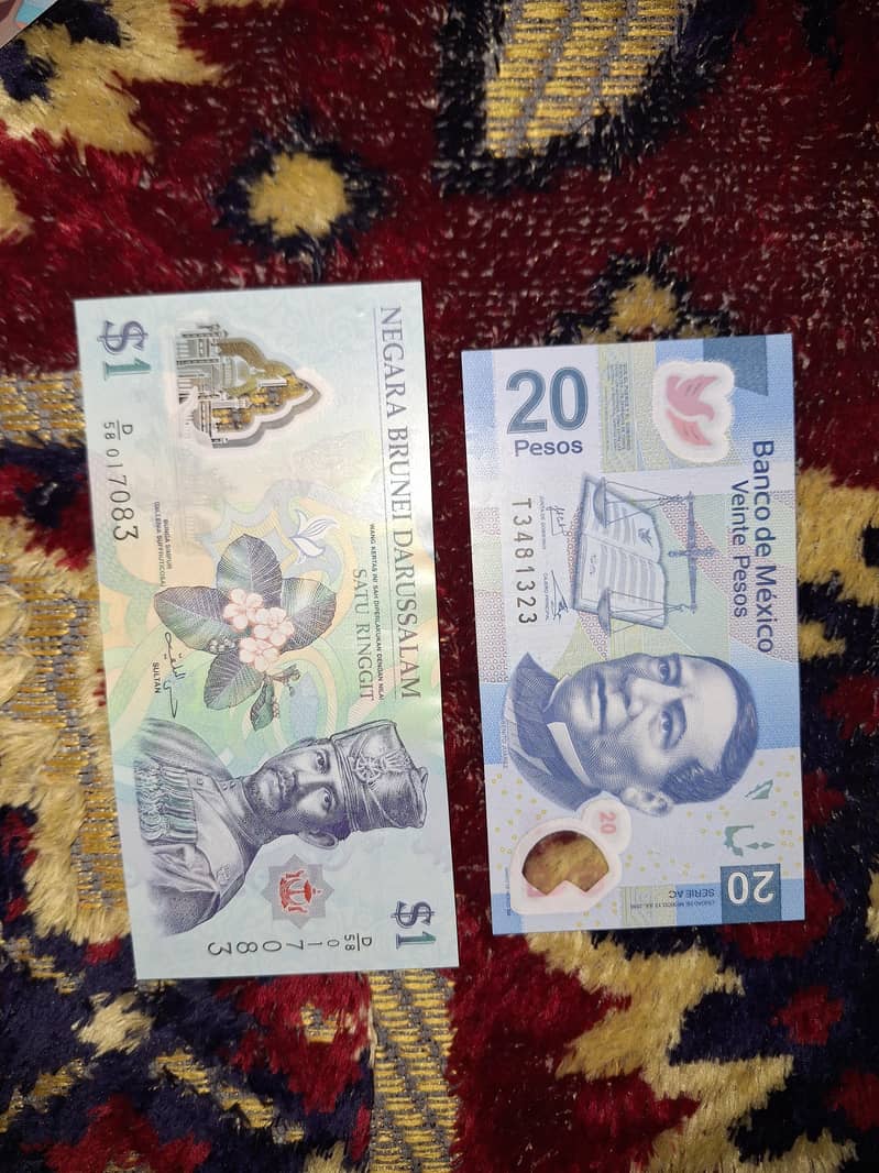 differnt countries bank notes 5