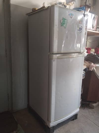 New Fridge